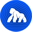 APE logo