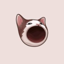 POPCAT logo