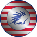 SAFO logo