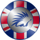 GBPSAFO logo
